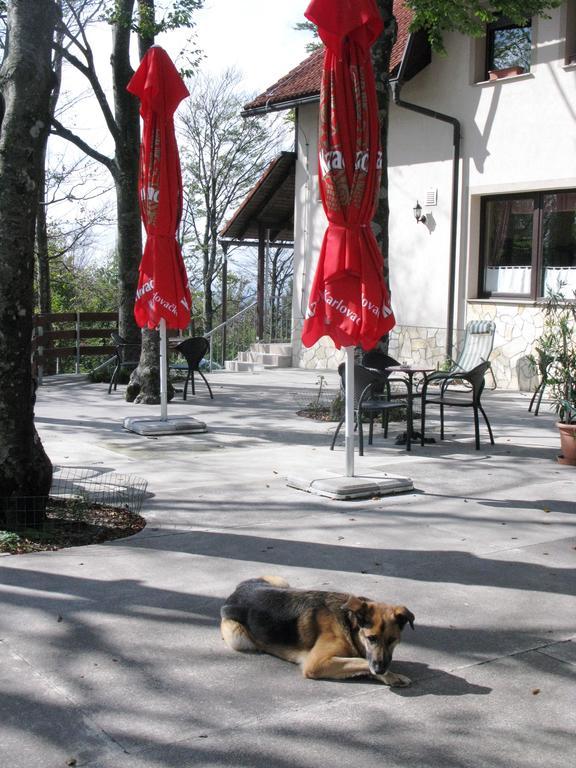 Hotel Planinarski Centar Petehovac Delnice Zewnętrze zdjęcie